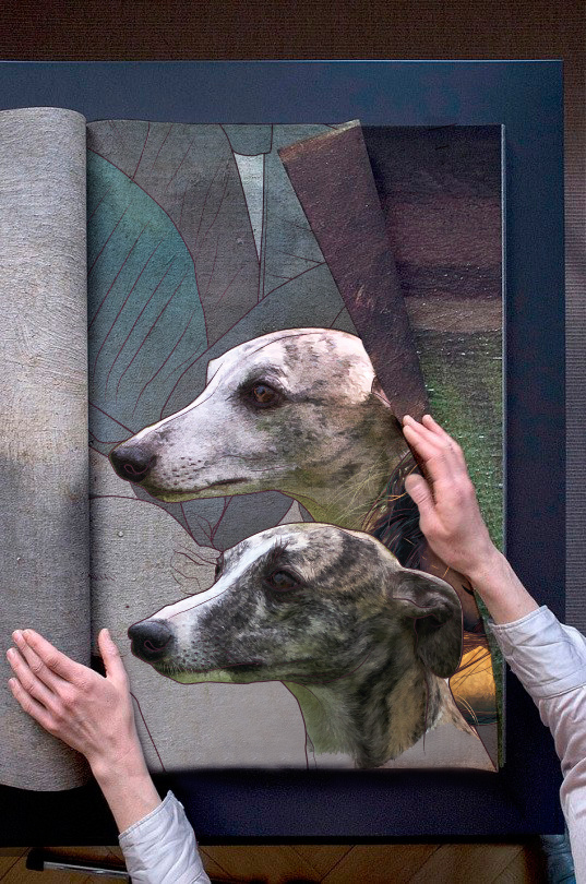 greyhounds