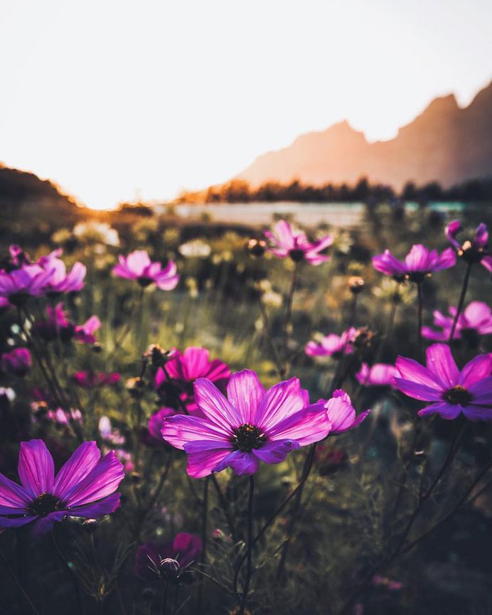 Gavin Pickford Captures Gorgeous Landscapes of The Western Cape Coast of Southern Africa
