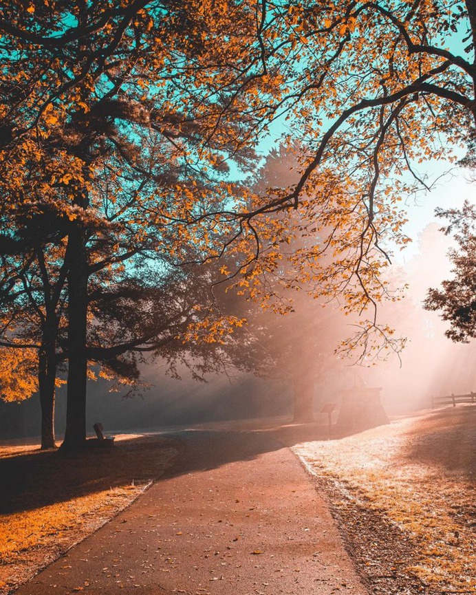 #sunset_madness: Splendid Landscape Photography by Josue Enriquez