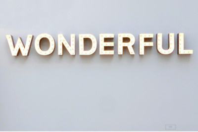 vicentesolbes: " Carsten Höller, Wonderful, 2008 "