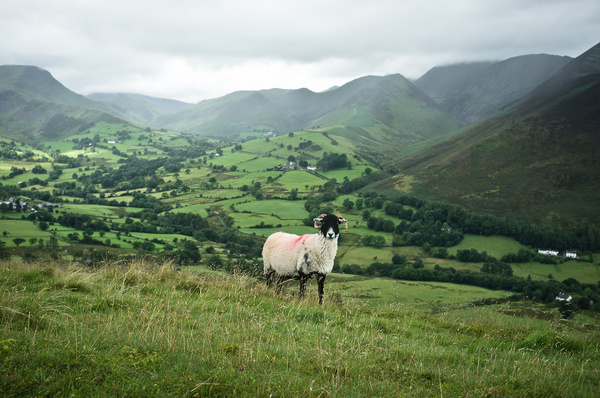 Mark Wickens #lake #district #landscape