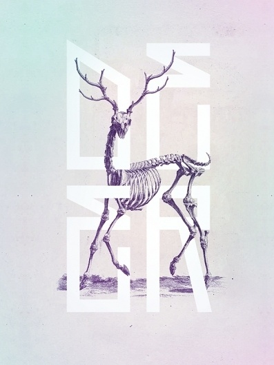 Bone - Anatomy Illustrated #type #skull #book #ilustration