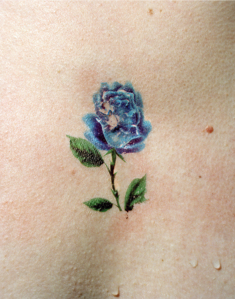 Bridget Collins | PICDIT #photo #photography