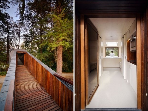 Tree Snake House7 #architecture #house #tree