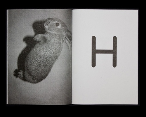 hysysk. #blackwhite #photo #book #letter #rabbit