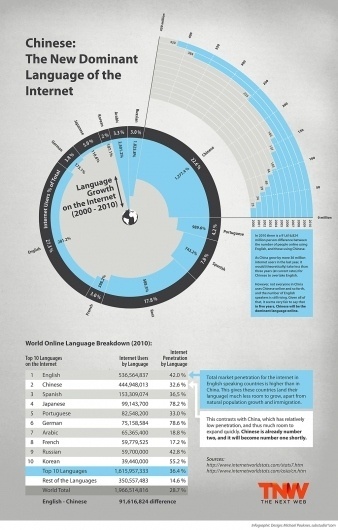 TNW_internetlanguages_vs4.jpeg 1024×1603 pixels #graphic