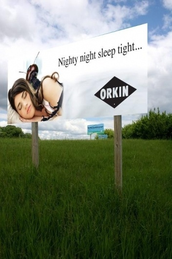 Wall Photos #creative #just #design #bugs #sleep #jack #outdoor