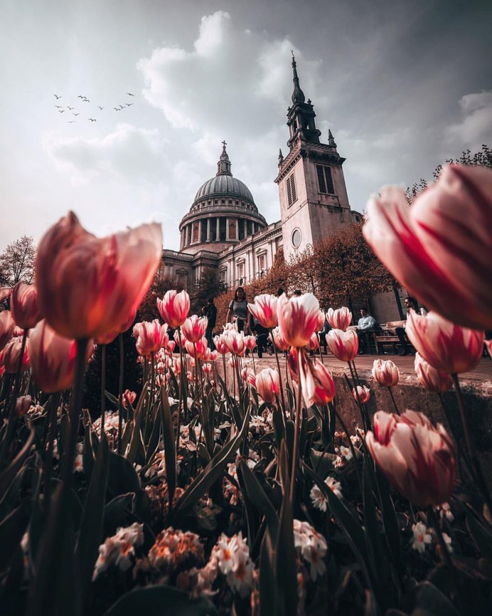 Vibrant Urban Photography in London by Anna Brant