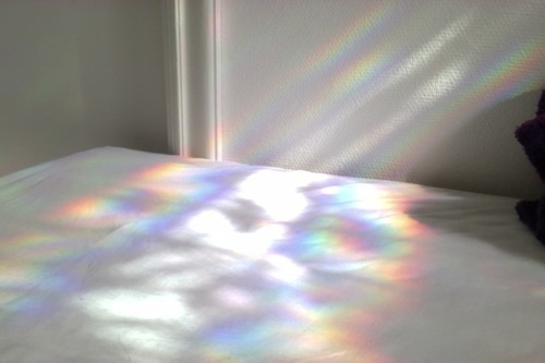tumblr_o2prl5Cyii1spnyg9o1_500.jpg (500×333)