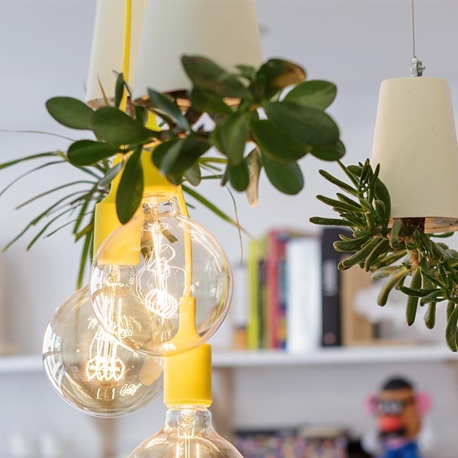 Yellow bulbs ins a graphic design studio with plants #yellow #bulb #lamp #plants