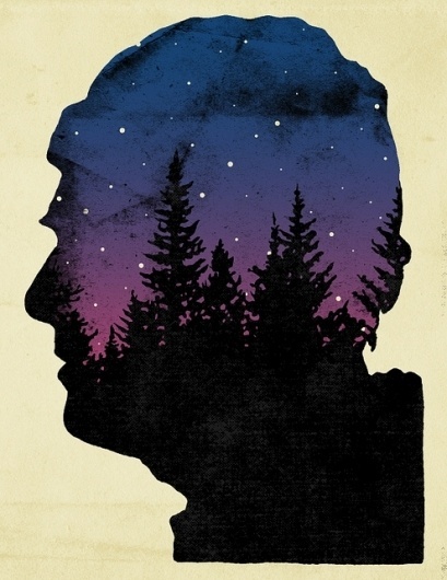 After The Bear - David Wilson Illustration #trees #illustration #editorial #profile
