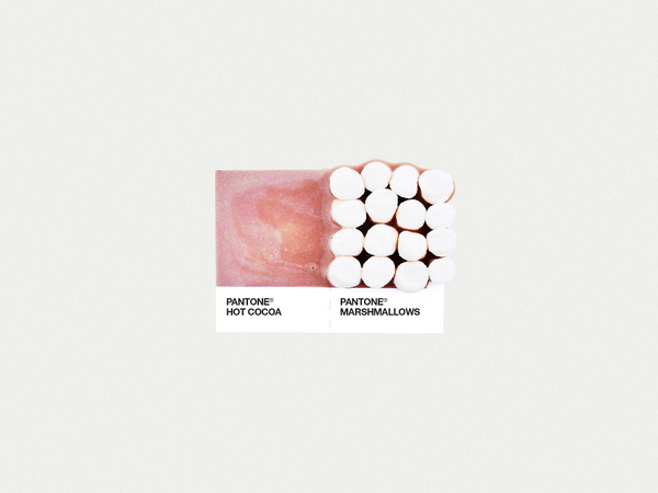 Food Art Pairings Dschwen LLC. | Design & Illustration #photography
