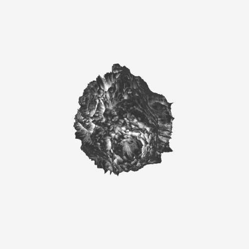 #blackandwhite #jameszanoni #art #form #organic #blackandwhite #minimal
