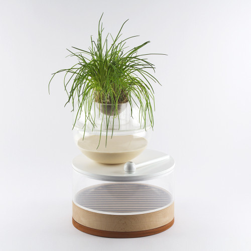 Bloom by Max Phillips #design #minimal
