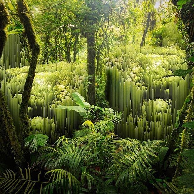 #jungle #landscape #pixel #glitch #processor