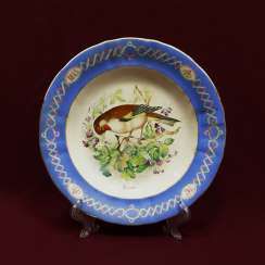 PLATE