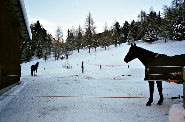 ph.: Fabrizio Raschetti #raschetti #fabrizio #photography #art