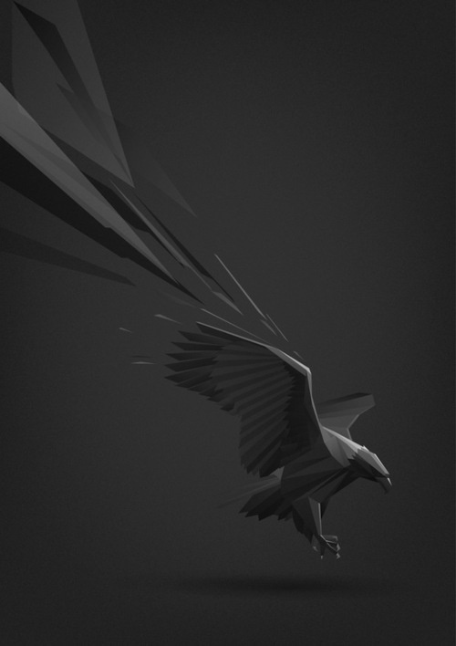 Animal illustrations by Ilya Andreev #vector #illustration #crow #animal #raven