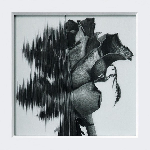 Taisuke Mohri | PICDIT