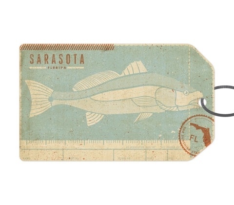 FFFFOUND! | Sarasota - The Everywhere Project #sarasota #fish