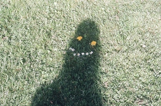FECAL FACE DOT COM #flower #grass