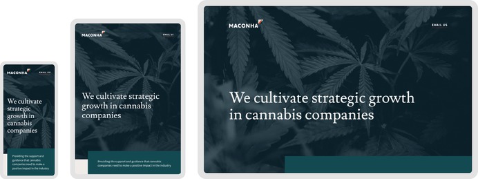 The responsive design for Maconha's website shown across mobile, tablet, and desktop devices.