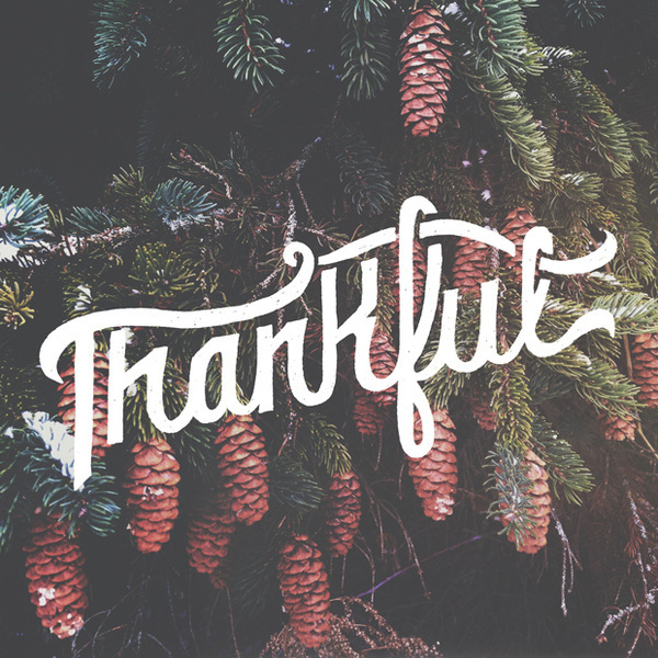 thankful #lettering #cone #thankful #pine #hand #typography