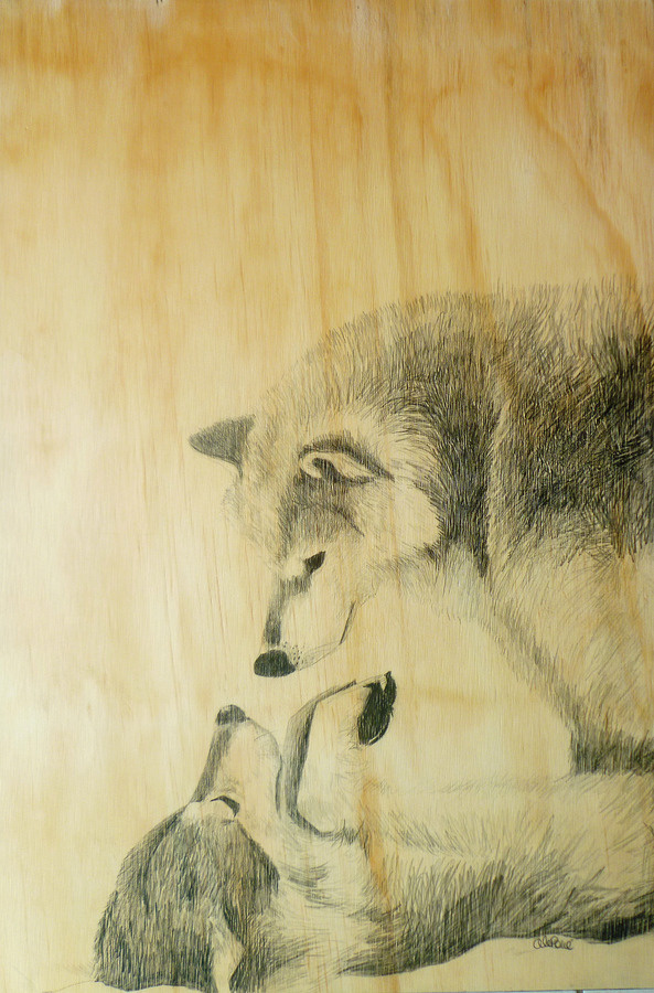 Wolves in the snow #wolves #wood #snow #art