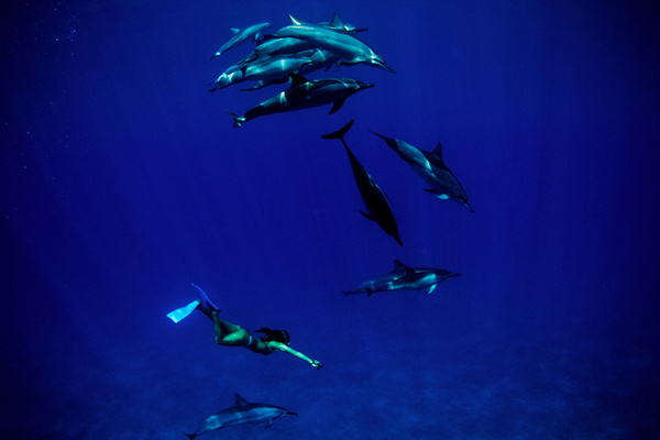Kona, Hawaii by Sarah Lee for Global Yodel #yodel #dolphin #lee #global #hawaii #kona #swim #sarah