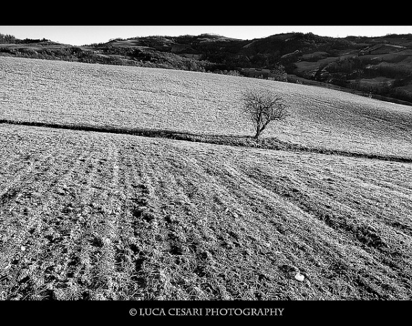 Black and White Photography by Luca Cesari | Professional Photography Blog #inspiration #white #black #photography #and
