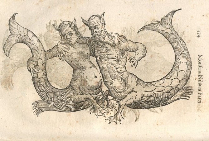 000364 #naturalism #aldrovandi #illustration #latin #ulisse #monster #drawing