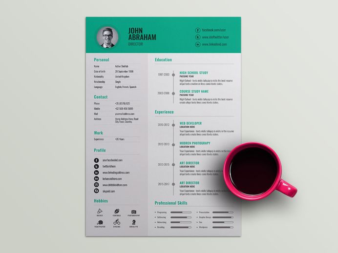 Free Professional Director Resume Template with Timeline Design
