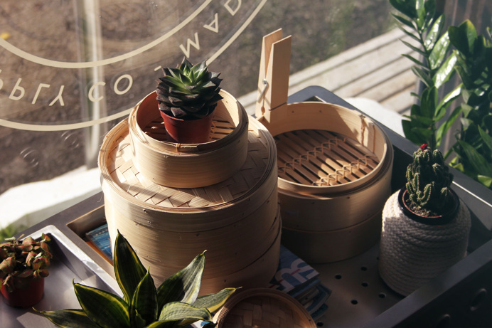 plant life, succelents