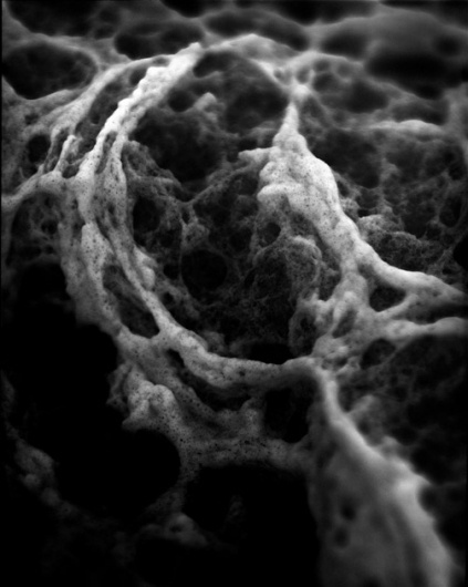 methode : Christian Tochtermann #close #space #methode #photography #up #organic