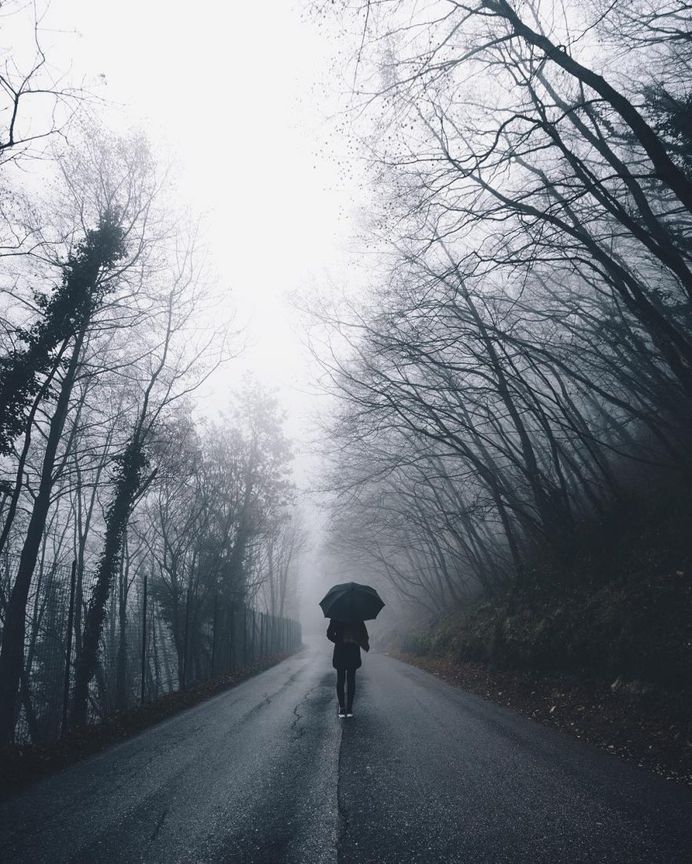 Moody Mountains and Foggy Forests: Adventures by Alessio Lin