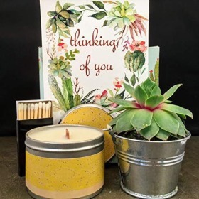 Thinking of You Succulent. Wood Wick Soy Candle Gift Box - candle gift box