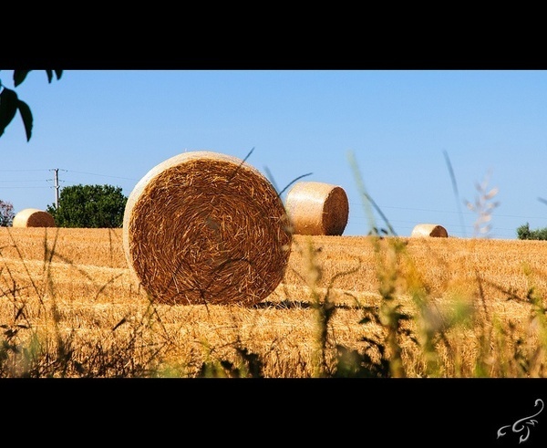 Photographer Michele Bighignoli #inspiration #photography