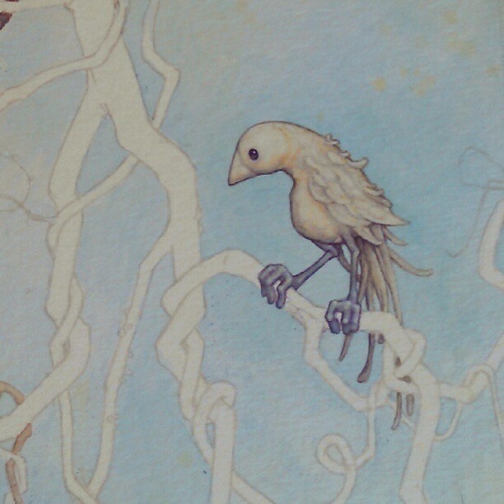 Leontine #illustration #illustrator #bird