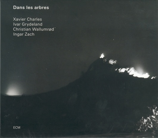 Images for Dans Les Arbres - Dans Les Arbres #album #univers #minimalism #cover #ecm #records