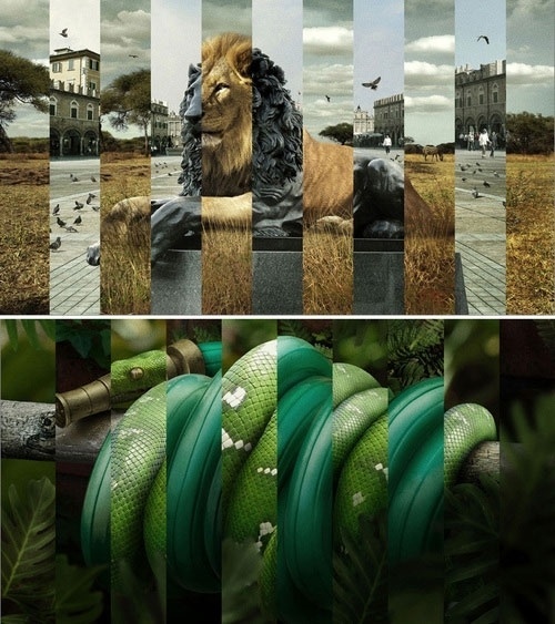 Imagination vs Reality: Lion Snake Collage Ad