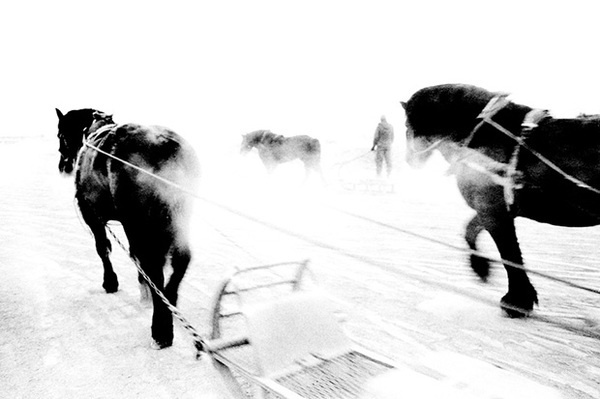 Hajime Kimura #horses #sleigh #photo #snow #work