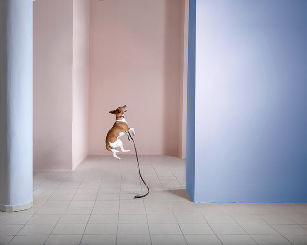 http://www.bencebakonyi.com/files/gimgs/51_bencebakonyi02.jpg #photography