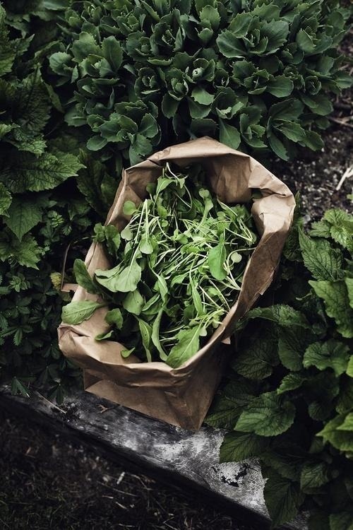 Likes | Tumblr #food