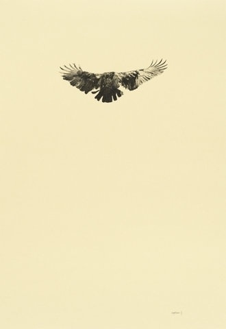 FFFFOUND! | 2011 : Greg Eason #drawing