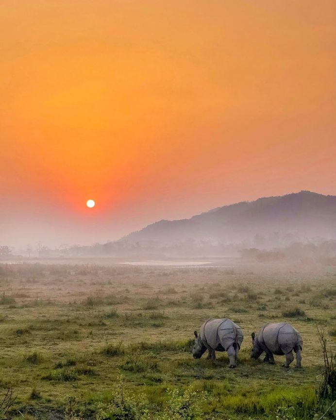 Wildlife Action Photography by Varun Aditya