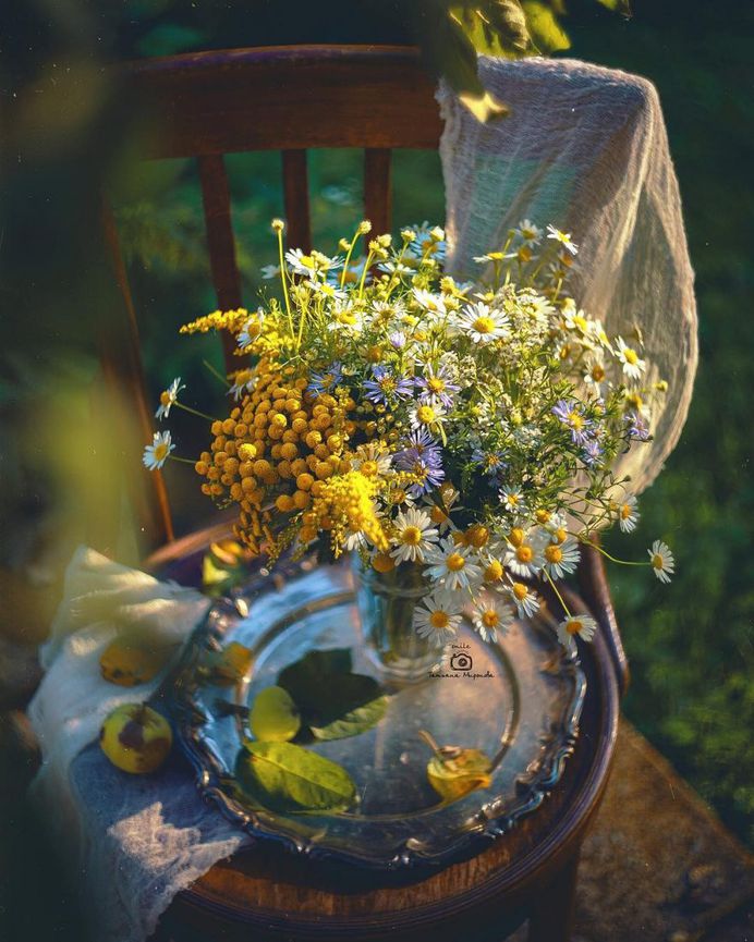 Fine Art Flowers Photography by Tatyana Mironova