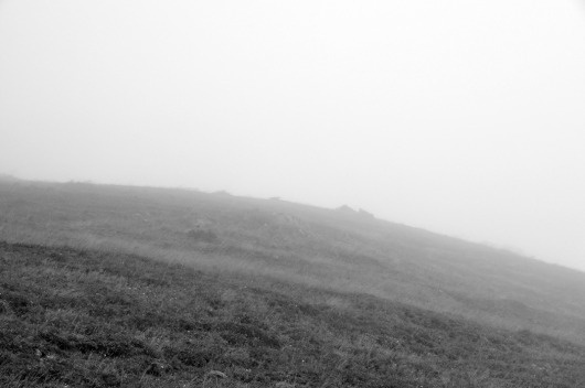 Fog on the Behance Network #marooned