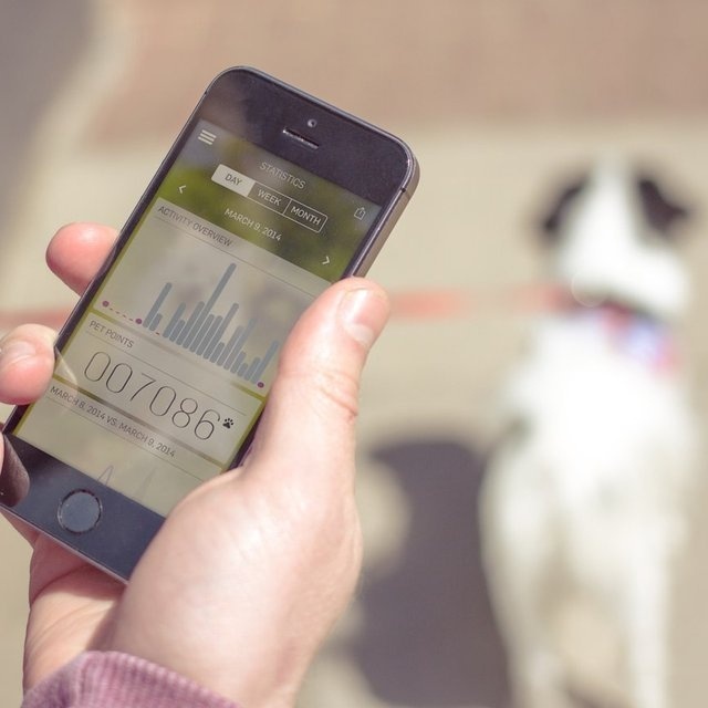 Tractive Motion Pet Activity Tracker #tech #flow #gadget #gift #ideas #cool
