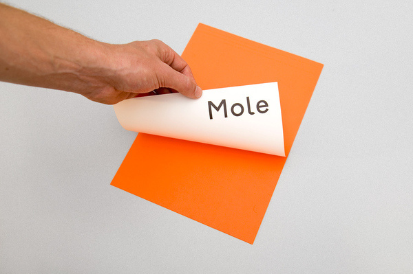 Mole — Maddison Graphic #print #letterhead #minimal #stationery