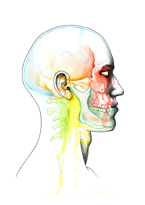 Andreu Zaragoza Illustration